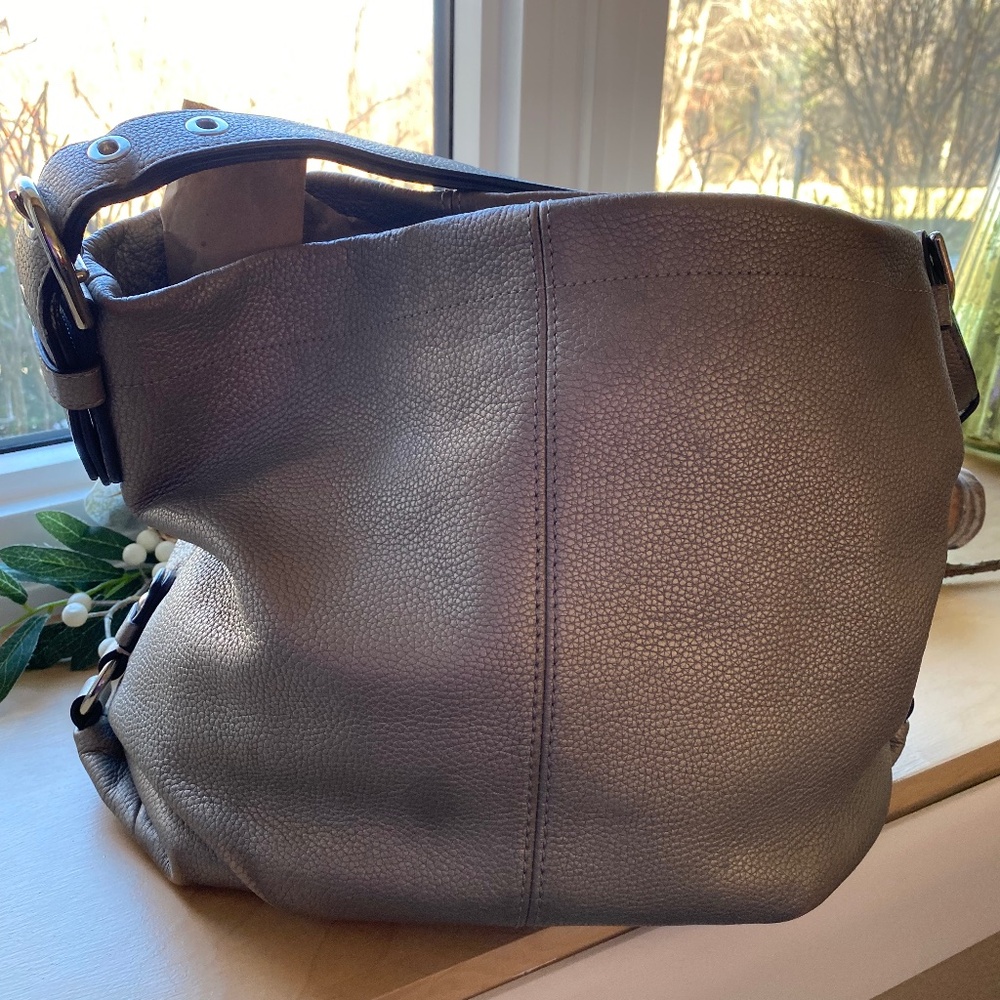 Coach Platinum Metallic F15064